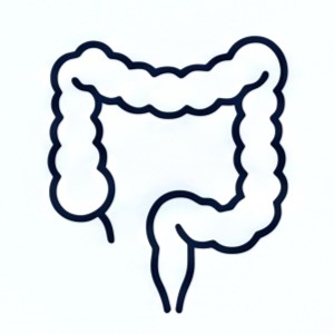 Coloproctologia | Dott Paolo Boati | Milano