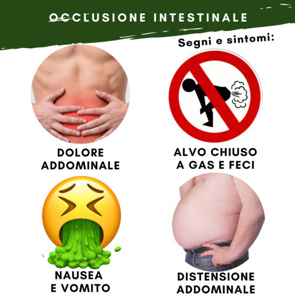 sintommi dolore addominale, dolore, alvo chiuso, nausea e vomito, distensione addominale