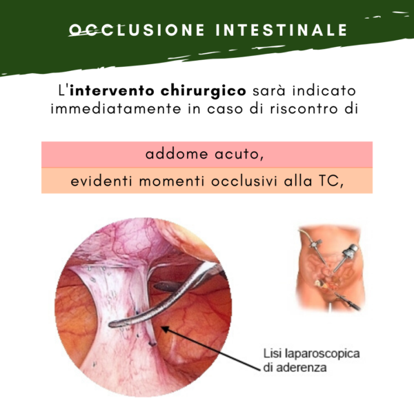 intervento occlusione intestinale